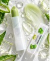 LIP BALM OF ALOE VERA