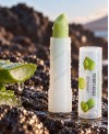 LIP BALM OF ALOE VERA