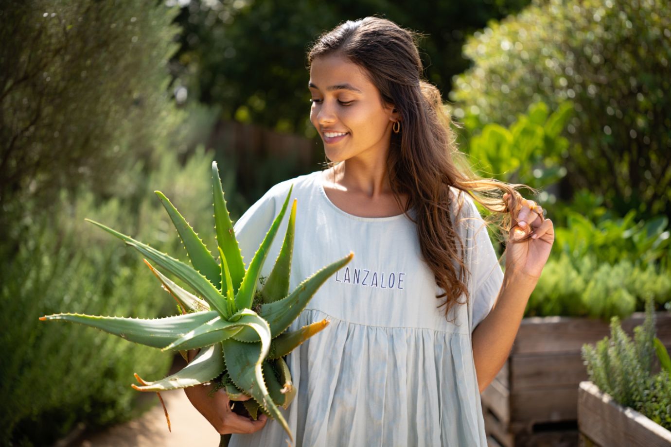 aloe vera blatt kaufen rewe Aloe vera Blatt frisch frisch geliefert main image 0